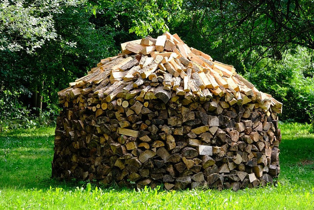 The Perfect Time to Buy and Store Air-Dried Logs: Why June Is Ideal for Stocking Up for Winter